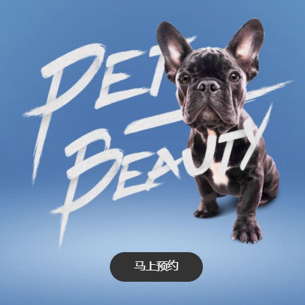 碧江宠物中心小程序开发